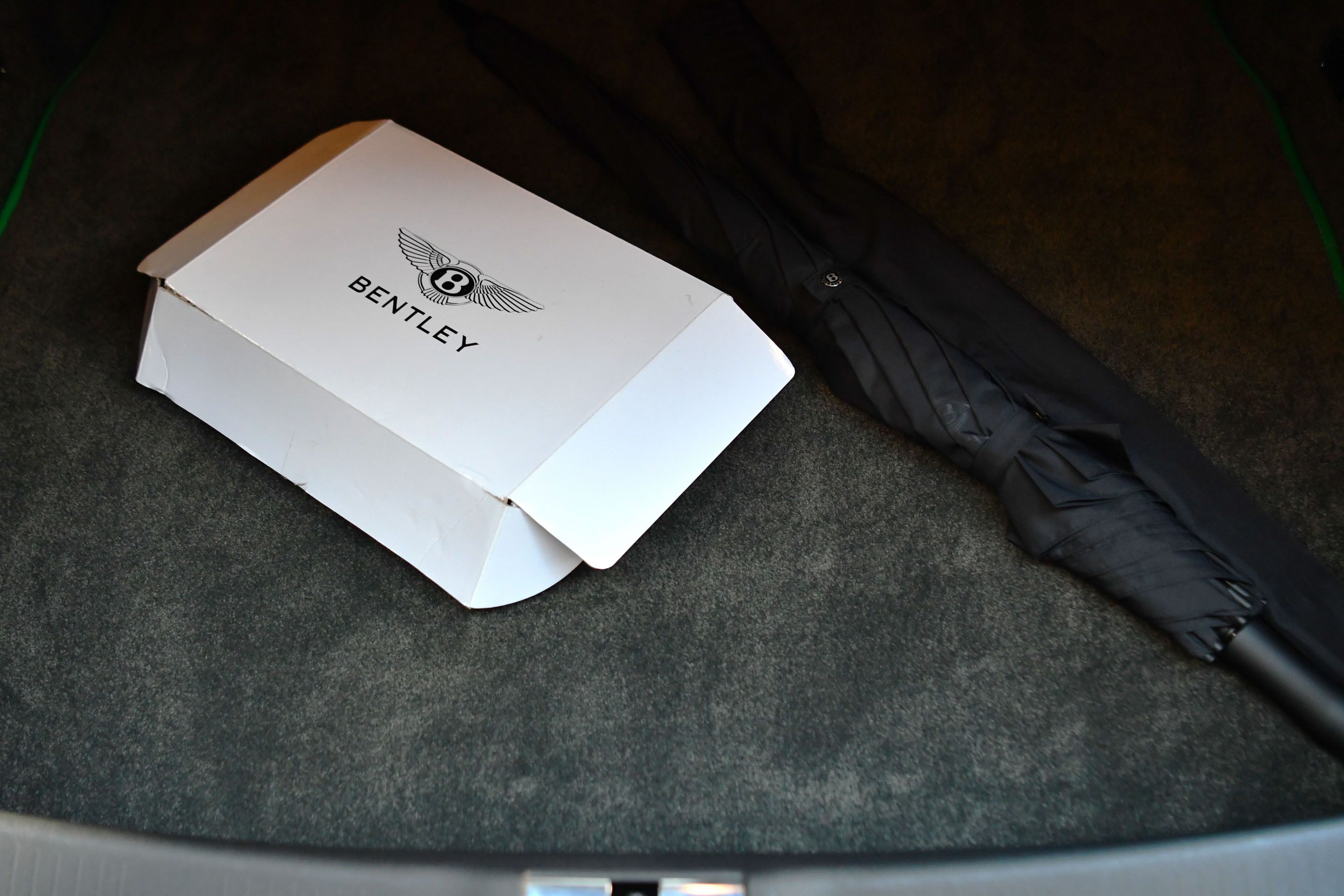 Photo 12 of 12 of 2014 Bentley Continental GT3-R