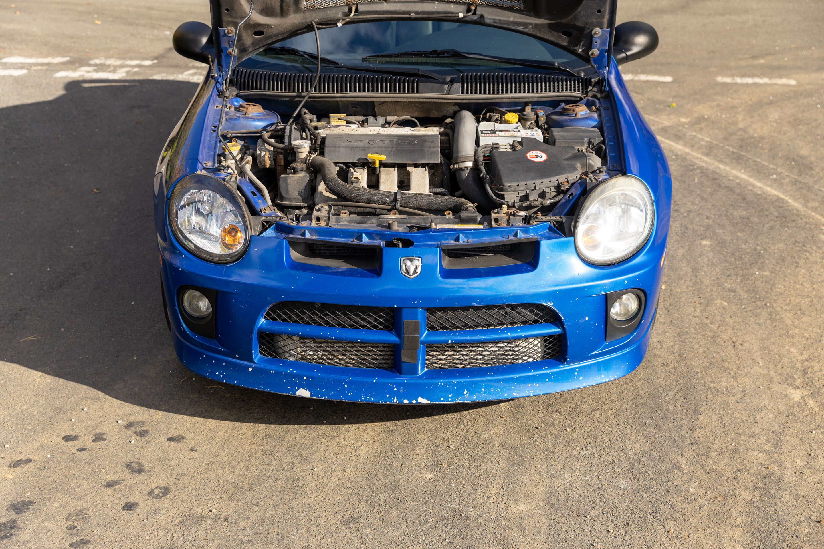 Photo 9 of 12 of 2004 Dodge Neon SRT-4