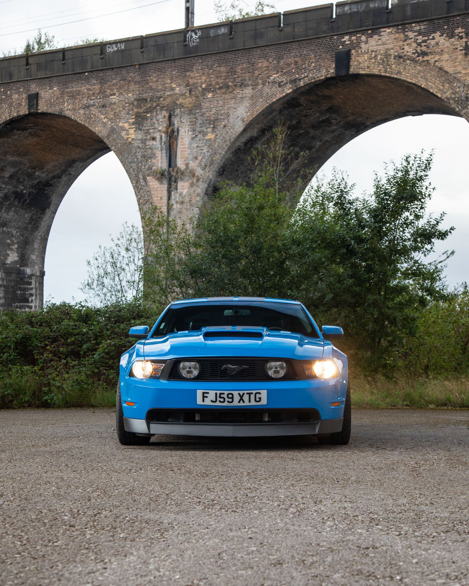 Photo 2 of 12 of 2010 Ford Mustang 4.6-litre V8 Supercharged - GT350 Tribute