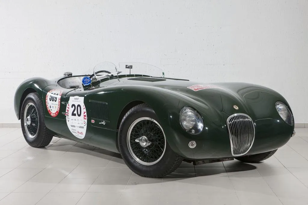 Interesting facts about jaguars image