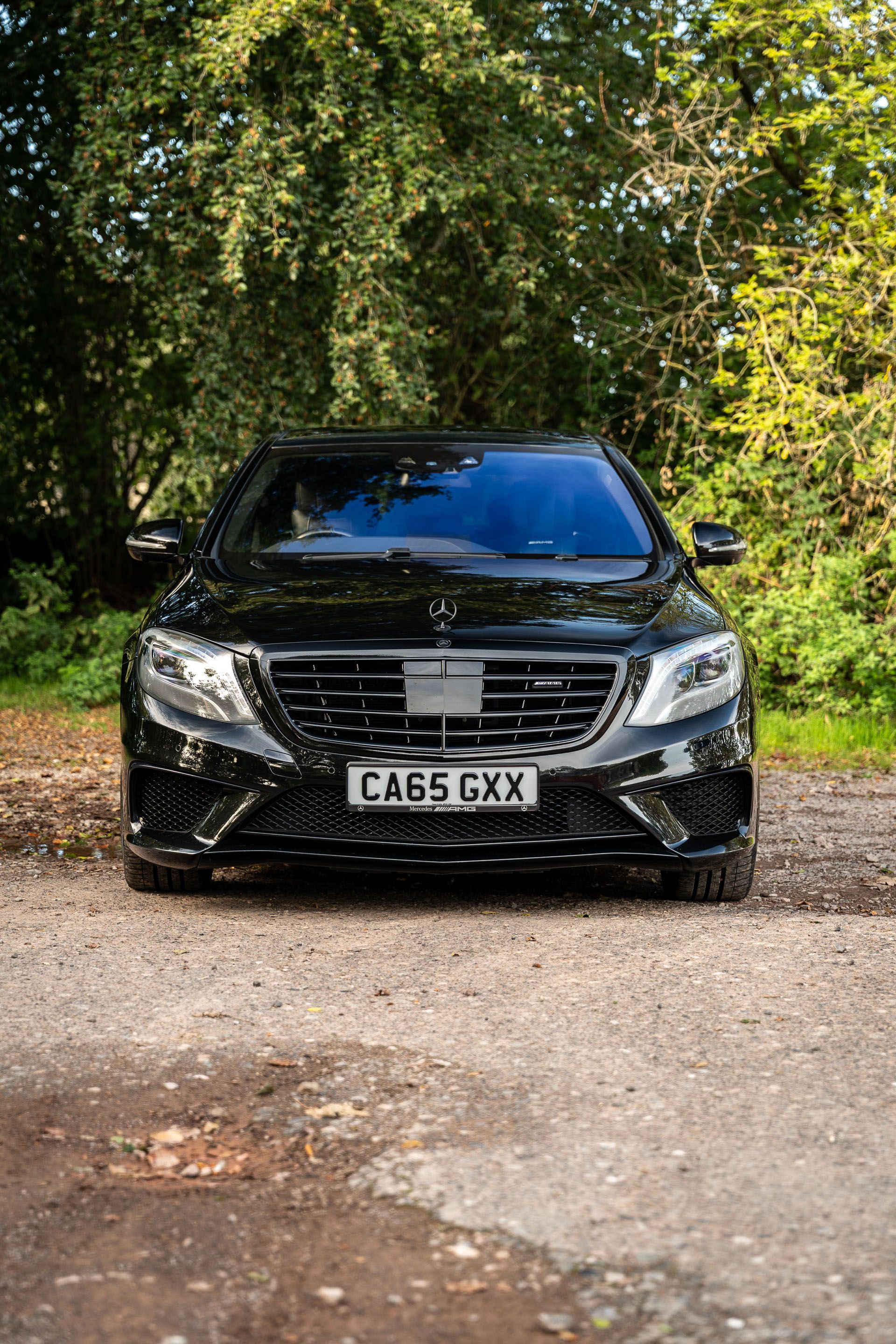 Photo 2 of 12 of 2016 Mercedes-Benz S63 AMG LWB Executive